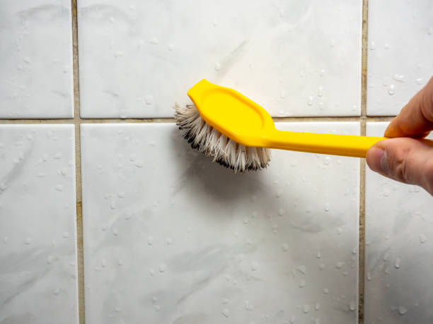 Best Preventive Mold Services in Cliffside Park, NJ