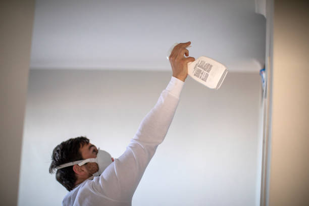Best Industrial Mold Remediation in Cliffside Park, NJ