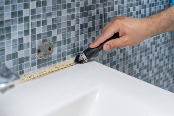 Best Emergency Mold Remediation in Cliffside Park, NJ